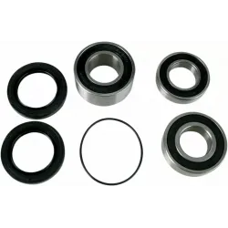 Wheel Bearing and Seal Kit