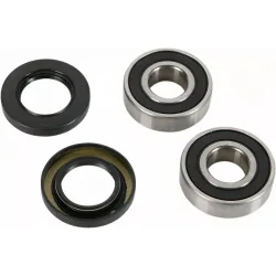 Wheel Bearing and Seal Kit