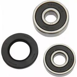 Wheel Bearing and Seal Kit