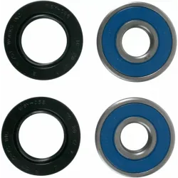 Wheel Bearing and Seal Kit