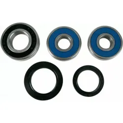 Wheel Bearing and Seal Kit