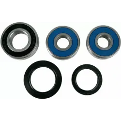 Wheel Bearing and Seal Kit