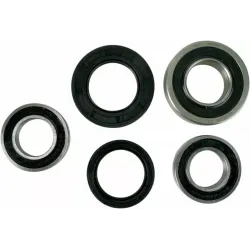 Wheel Bearing and Seal Kit