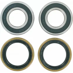 Wheel Bearing and Seal Kit
