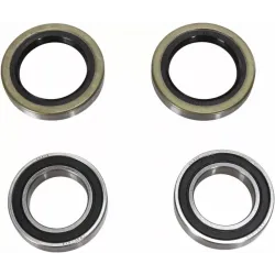 Wheel Bearing and Seal Kit