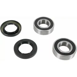 Wheel Bearing and Seal Kit