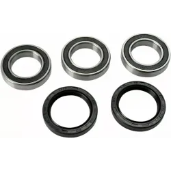 Wheel Bearing and Seal Kit