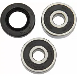 Wheel Bearing and Seal Kit