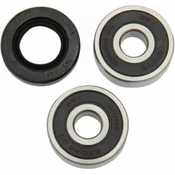 Wheel Bearing and Seal Kit