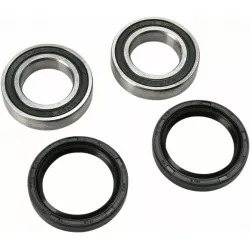 Wheel Bearing and Seal Kit
