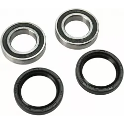 Wheel Bearing and Seal Kit