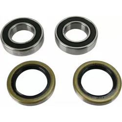 Wheel Bearing and Seal Kit