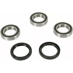 Wheel Bearing and Seal Kit
