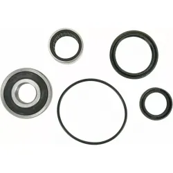 Wheel Bearing and Seal Kit