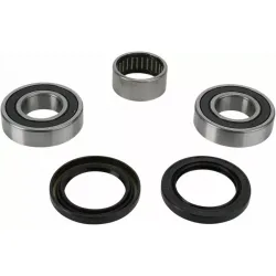 Wheel Bearing and Seal Kit