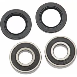 Wheel Bearing and Seal Kit