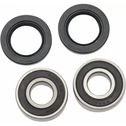 Wheel Bearing and Seal Kit