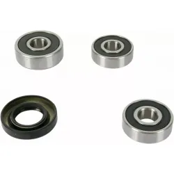 Wheel Bearing and Seal Kit