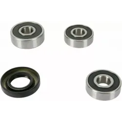 Wheel Bearing and Seal Kit