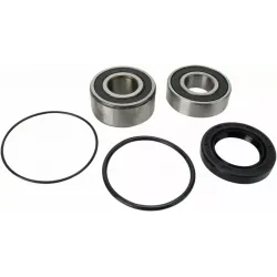 Wheel Bearing and Seal Kit