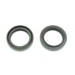 Fork Oil Seals
