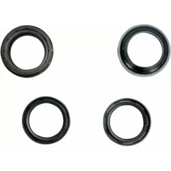 Fork Seal/Dust Seal Kit