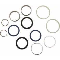 Fork Seal/Dust Seal Kit