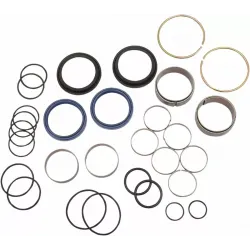 Fork Seal/Dust Seal Kit