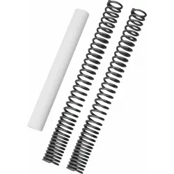 Fork Spring Kit
