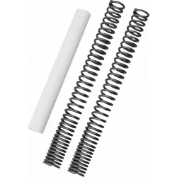 Fork Spring Kit