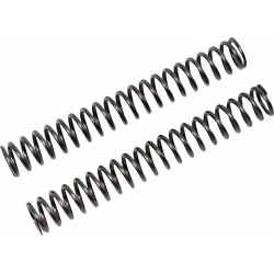 Fork Springs for FGK Cartridge Kit