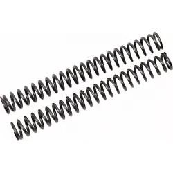 Fork Springs for FKS Cartridge Kit