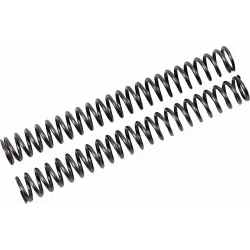 Fork Springs for FKS Cartridge Kit