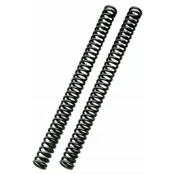 Front Fork Spring