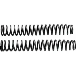 Front Fork Springs