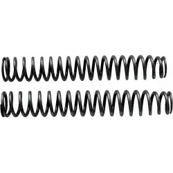 Front Fork Springs