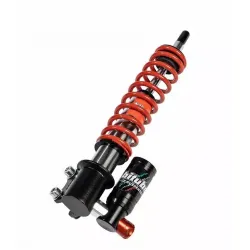 Front Forks Assemblies