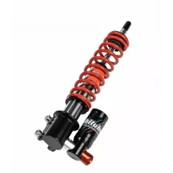 Front Forks Assemblies