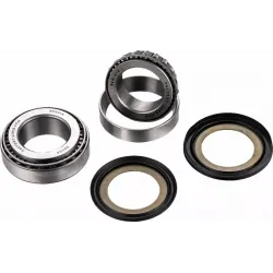 Steering Stem Bearing Kit