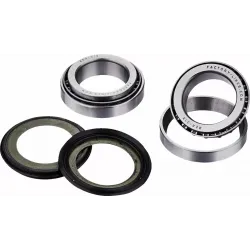 Steering Stem Bearing Kit