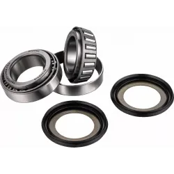 Steering Stem Bearing Kit