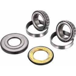 Steering Stem Bearing Kit