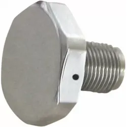 Upper Fork Tube Caps/Bolts