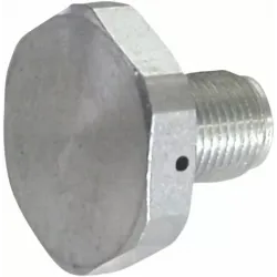 Upper Fork Tube Caps/Bolts