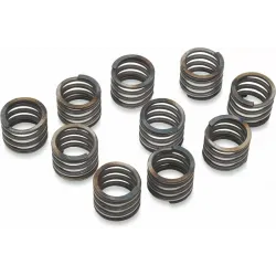 41 mm Damper Springs