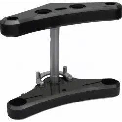 41 mm Raked Triple Tree