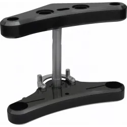 41 mm Raked Triple Tree