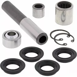A-Arm Bearing and Seal Kit