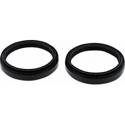 Fork Bushings and Seals Kit