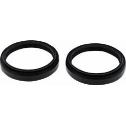 Fork Bushings and Seals Kit